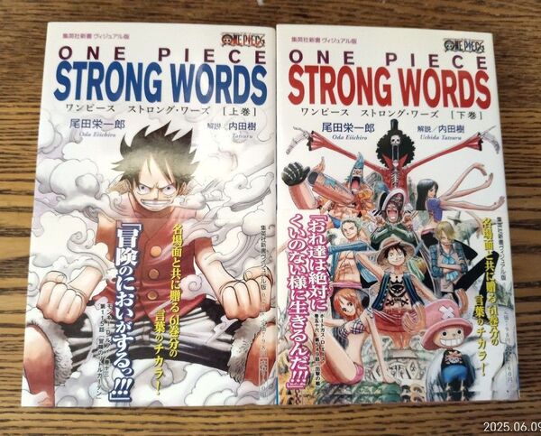 初版 帯付き!ワンピース ストロング・ワーズ 下巻 (集英社新書 ヴィジュアル版 022V) 尾田栄一郎/著 内田樹/解説