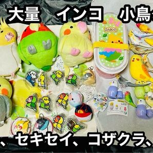 大量 インコ オウム 小鳥グッズ まとめ売り ぬいぐるみ 弁当箱 キーホルダー オカメインコ セキセイインコ コザクラインコ 文鳥