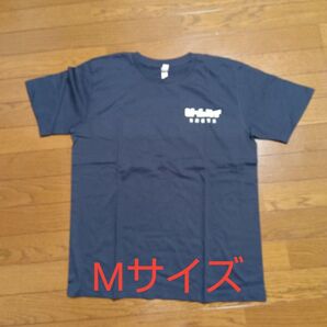 【非売品】ビームハイ Tシャツ Mサイズ