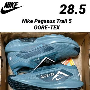28.5 新品 ナイキ ペガサス トレイル 5 ゴアテックス GORE-TEX GTX