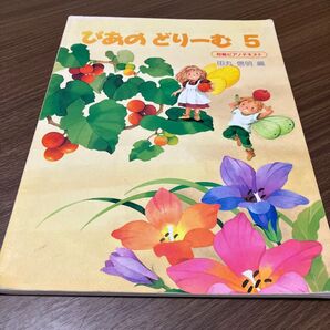 ぴあのどりーむ 5