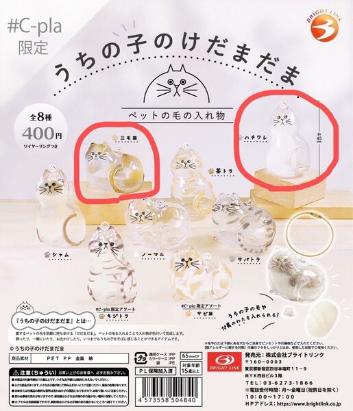 ブライトリンク うちの子のけだまだま ガチャガチャ カプセルトイ ハチワレ 三毛猫