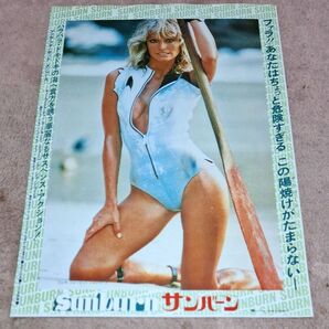 映画「サンバーン」チラシ