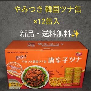 旨辛!やみつき韓国ツナ缶【唐辛子ツナ】100g × 12缶