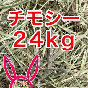 カナダ産 チモシー 24kg