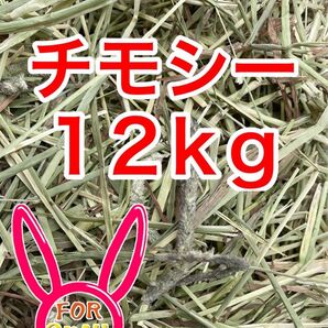 カナダ産 チモシー 12kg