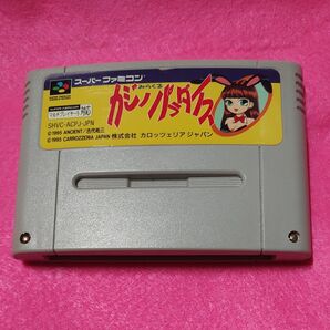 みらくるカジノパラダイス スーパーファミコン