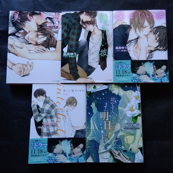 美しい彼 憎らしい彼 悩ましい彼 interlude おやすみなさい、また明日 凪良ゆう 5冊
