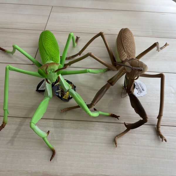 カマキリ 2体