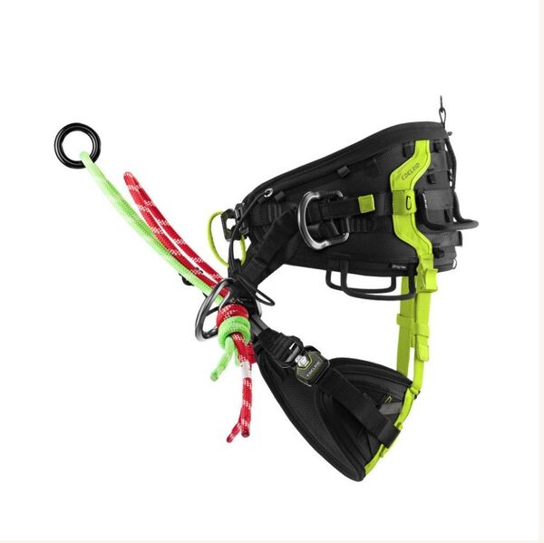 EDELRID TreeRex2.0 サイズ2 アーボリスト ツリークライミング 造園