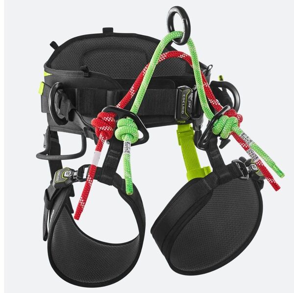 EDELRID TREERAPTORサイズ1 アーボリスト ツリークライミング