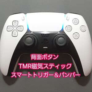 PS5 カスタムコントローラー デュアルセンス 純正コントローラーCFI-ZCT1J