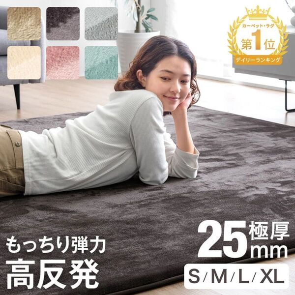 【新品未開封】高反発ラグ 厚手 200×300mm ホットカーペット対応 床暖房対応