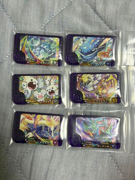 ポケモンフレンダ スーパートレジャー5弾 テラパゴス、イッカネズミ、ゼルネアス、ヘイラッシャ、タケルライコ、ボーマンダ