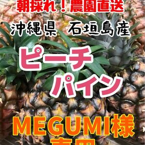 MEGUMI様専用です