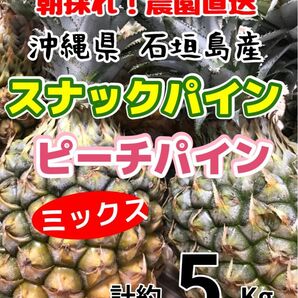 沖縄県石垣島産スナックパインピーチパインミックス計約5キロ