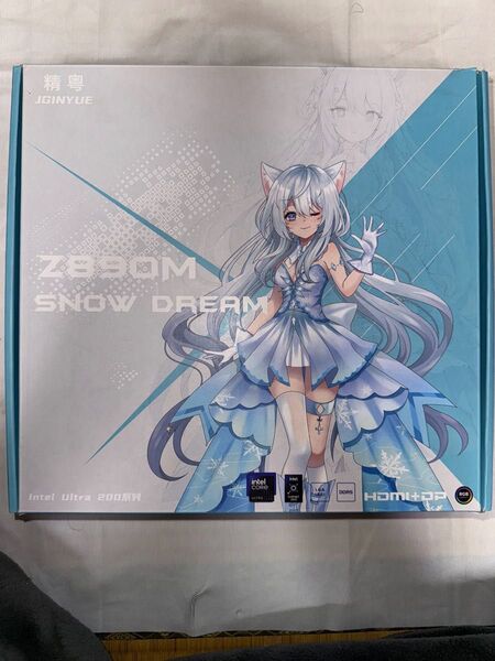 JGINYUE Z890M SNOW DREAM マザーボード