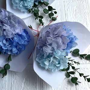 紫陽花守りA *スワッグ *厄除け *土用の丑の日