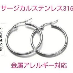 金属アレルギー対応ステンレスピアス シルバーフープピアス 2.5cmステンレスピアス 両耳