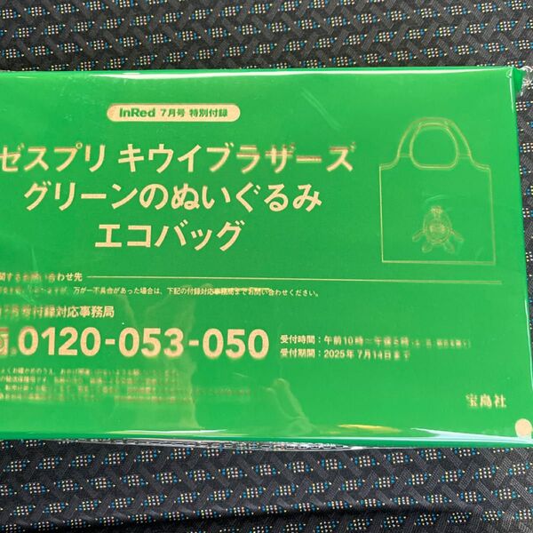 ゼスプリ キウイブラザーズ ぬいぐるみエコバッグ エコバッグ InRed 付録 インレッド