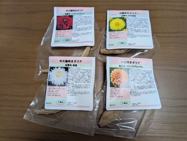 秋田ダリア 球根 赤白黄オレンジ系 4品種セット