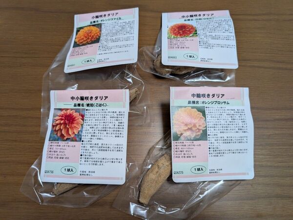 秋田ダリア 球根 オレンジ系4品種セット