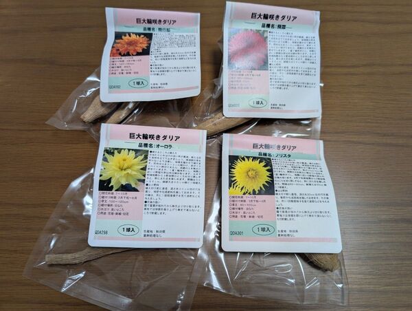 秋田ダリア 球根 巨大輪系4品種セット