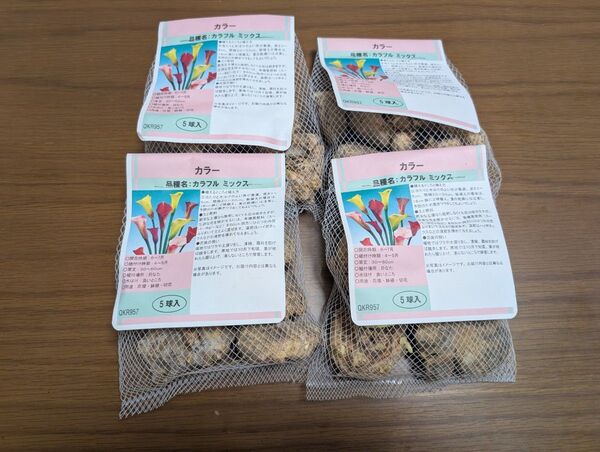 カラー 球根 カラフルミックス 5球入り 4袋
