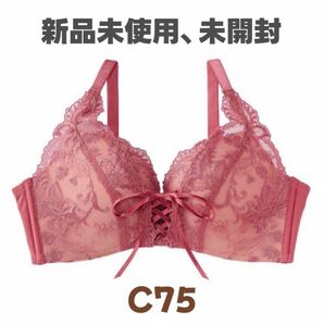 総レース×レースアップリボンで映えバスト。主役級甘かわブラ C75 aimerfeel タグ付き
