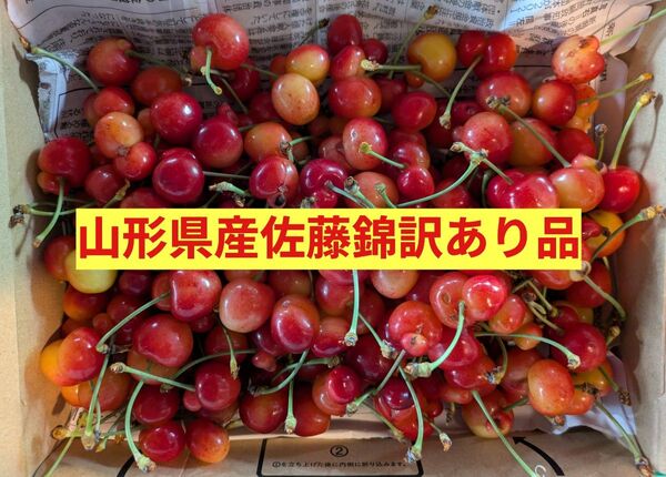 山形県産さくらんぼ佐藤錦訳あり品