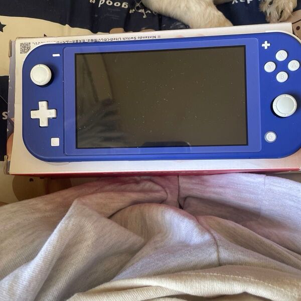 Nintendo Switch Lite ブルー ターコイズ 任天堂