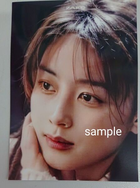 ZARD 坂井泉水 蒲池幸子 写真L版 「21」