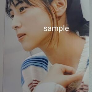 ZARD 坂井泉水 蒲池幸子 写真L版 「普段着」