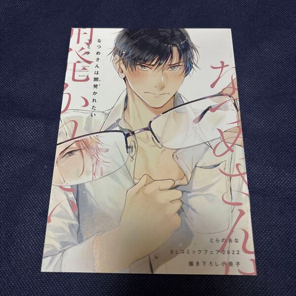 なつめさんは開発かれたい マミタとらのあなBLコミックフェア2022 描き下ろし小冊子