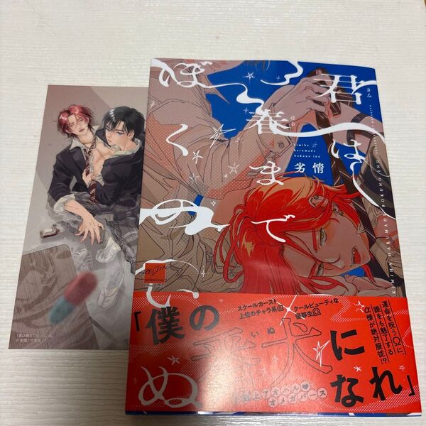 君は春までぼくののいぬ /劣情