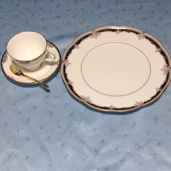 Noritake Born china オールドノリタケ PALAIS ROYAL 商品番号9773 プレートとカップ