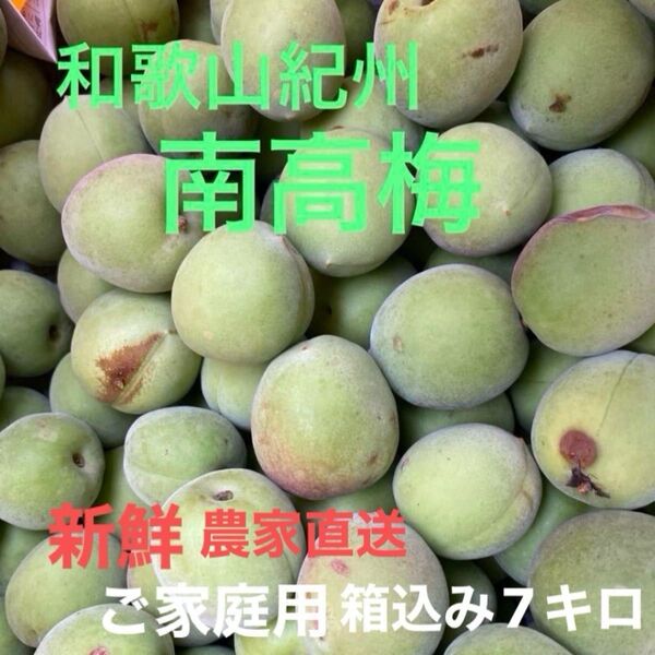 紀州南高梅 1箱限定☆低農薬ご家庭用青梅 箱込み7キロ