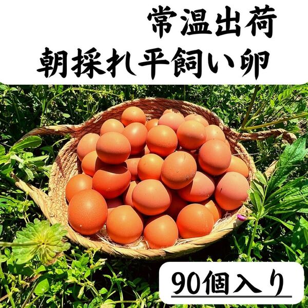 90個入り 佐伯養鶏(旧:宮下養鶏)の朝採れ平飼い卵