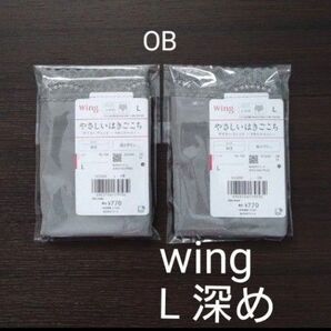 ウイング デイリーフィットショーツ L2枚