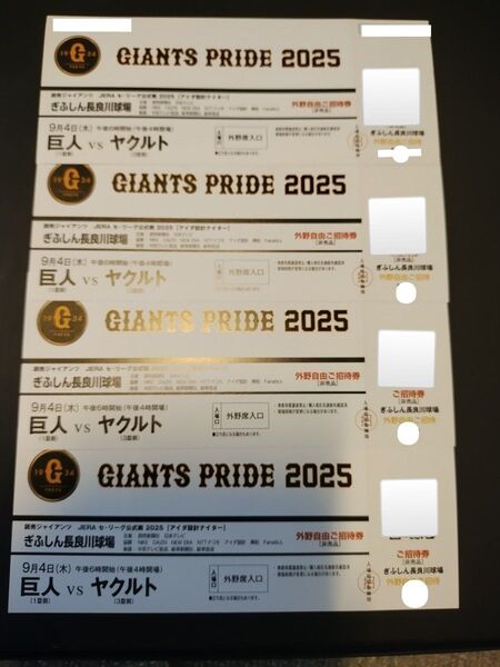 【巨人VSヤクルト】外野自由席 ぎふしん長良川球場