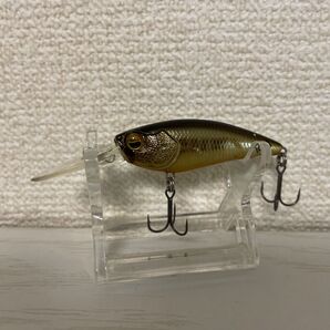 【RAIDJAPAN 】LEVEL SHAD【レイドジャパン】レベルシャッド