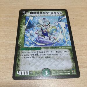 デュエルマスターズ