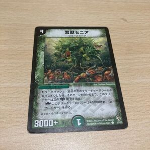デュエルマスターズ