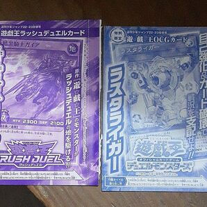 遊戯王 ラッシュデュエル&OCG 付録カード 2枚セット