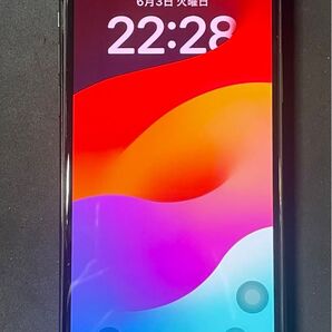 iPhone 11 Pro 純正再生パネル 11-01