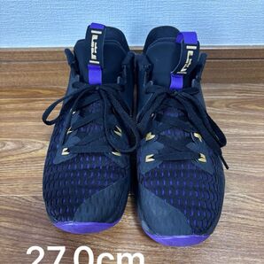 NIKE LEBRON WITNESS 5 27.0cm ブラック パープル