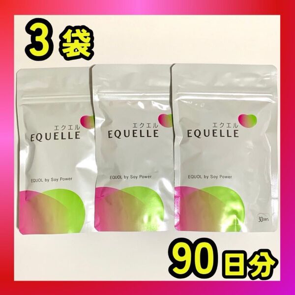 エクエル パウチ EQUELLE 120粒 3袋セット 約3ヶ月分 大塚製薬 正規品 未開封