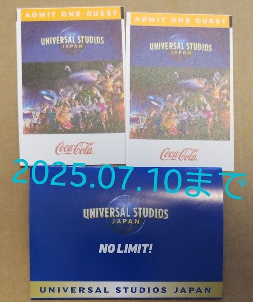 ユニバーサルスタジオジャパン パートナーパス チケット 大人2枚 2025.07.10まで USJ