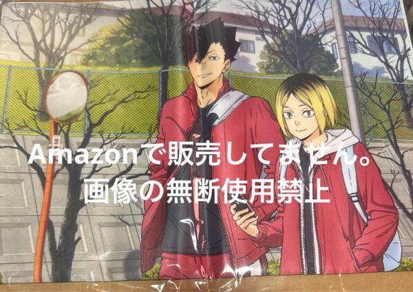 TOHOアニメーションストア 劇場版 ハイキュー!! ゴミ捨て場の決戦 B3布ポスター 音駒高校 黒尾鉄朗 孤爪研磨