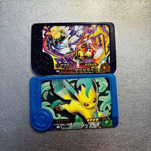 ポケモン フレンダ タケルライコ リーフィア 2枚セット